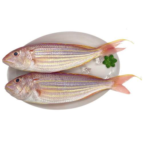 北海金线鱼红杉鱼深海鱼去鳞鳃去内脏免处理新鲜冷冻红三鱼金丝鱼