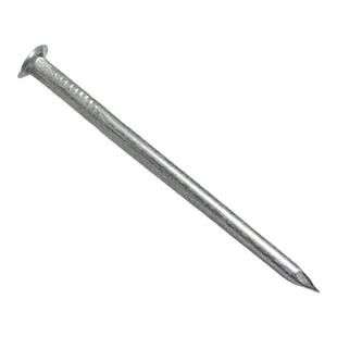 304 316 不锈钢圆钉园钉元钉洋钉大铁钉加长木工木头小钉子挂瓦钉