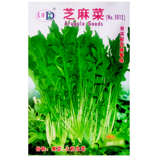 芝麻菜种子臭菜春秋季野香菜阳台盆栽庭院农家播种植疏蔬菜种籽孑