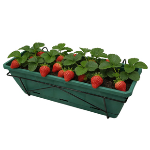阳台霍伦花盆长方形种菜盆种菜神器家庭阳台蔬菜草莓盆栽专用花箱