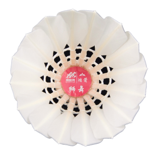 鸿箭南极风狮舞飞行优秀鹚鸪鸭全圆比赛羽毛球亚4比赛3黄金一红威