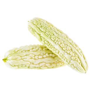 四季新长白苦瓜种子超大型品种抗病耐热春阳台庭院易种菜苗秧孑