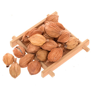 川砂仁 香沙仁 香砂仁 可打粉 烧烤炖肉卤菜烹饪 调料香料齐全50g