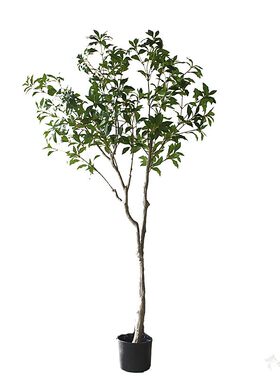 仿真绿植物南天竹落地橱窗装饰树