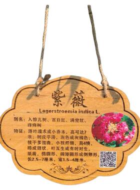 定制名贵树木园林挂牌户外防腐