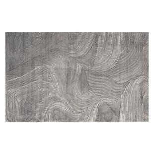 客厅地毯2025新款轻奢高级感沙发茶几毯卧室床边毯家用地垫可擦洗