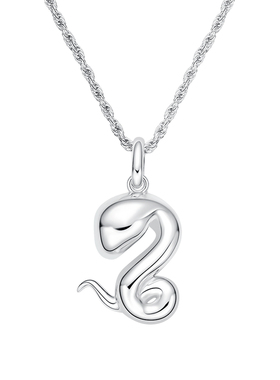 真我不凡S925纯银灵蛇项链