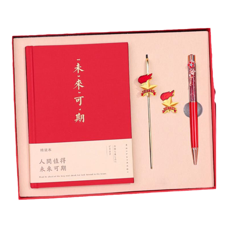 少先队入队礼品徽章儿童小学生伴手礼奖励女生男孩儿童创意小礼物