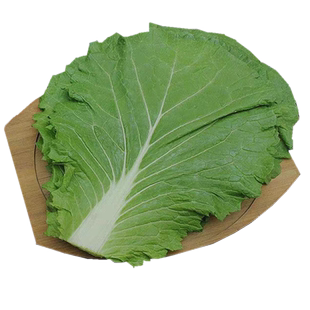 打饭包叶东北大白菜叶新鲜蔬菜叶散装大白菜叶子即食蘸酱菜顺丰