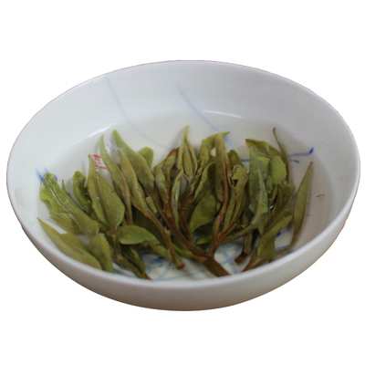 瑞雪白牡丹松压小饼福鼎茶叶寻芷