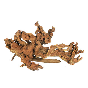 沉木造景木鱼缸造景装饰木头大号大型珊瑚木布景树根天然流木包邮