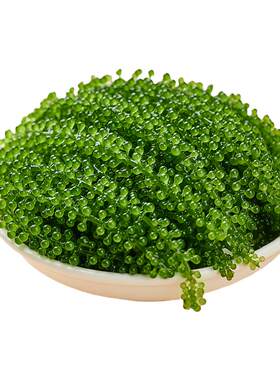 儿童即食海葡萄100g/袋颗颗爆珠