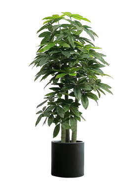 仿真绿植发财树服装店橱窗装饰大型盆栽室内轻奢植物落地摆件假树