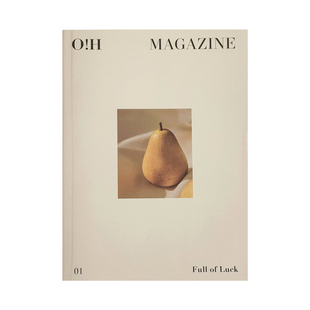 枝悟 复古英文杂志书南法家居装饰假书桌面摆件ins文艺拍照道具书