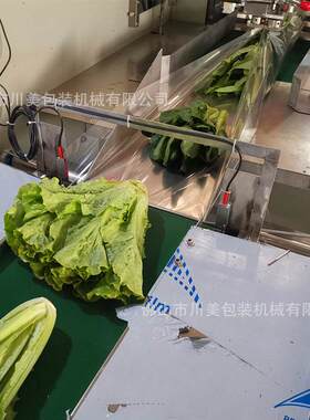水果蔬菜包装机 袋装叶菜果蔬定量称重自动套袋机青菜枕式包装机