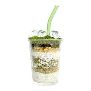 美式咖啡鲜活苔藓微景观办公室桌面绿植摆件DIY小盆栽送朋友礼物