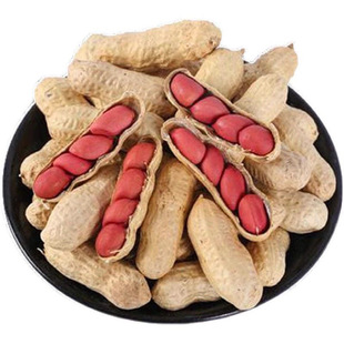 2025年新货现炒熟花生原味带壳花生农家铁锅柴火炒熟红皮生花生鲜