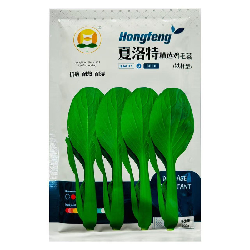 耐热青梗菜蔬菜种孑农家田园耐湿