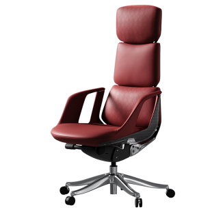 TOMU【门店同款】高端老板椅办公椅可躺电脑椅子家用轻奢舒适久坐