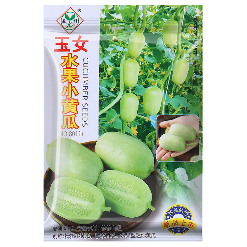 春秋季本地清甜老品种水果黄瓜种籽无刺迷你袖珍拇指玉女黄瓜种子