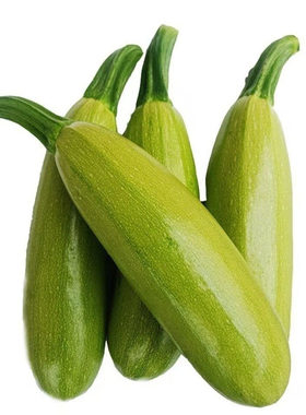 现摘蔬菜西葫芦2元1斤破损包赔