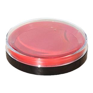 得力印台快干圆形透明9863红色蓝色速干清洁海绵印泥财务用品批发