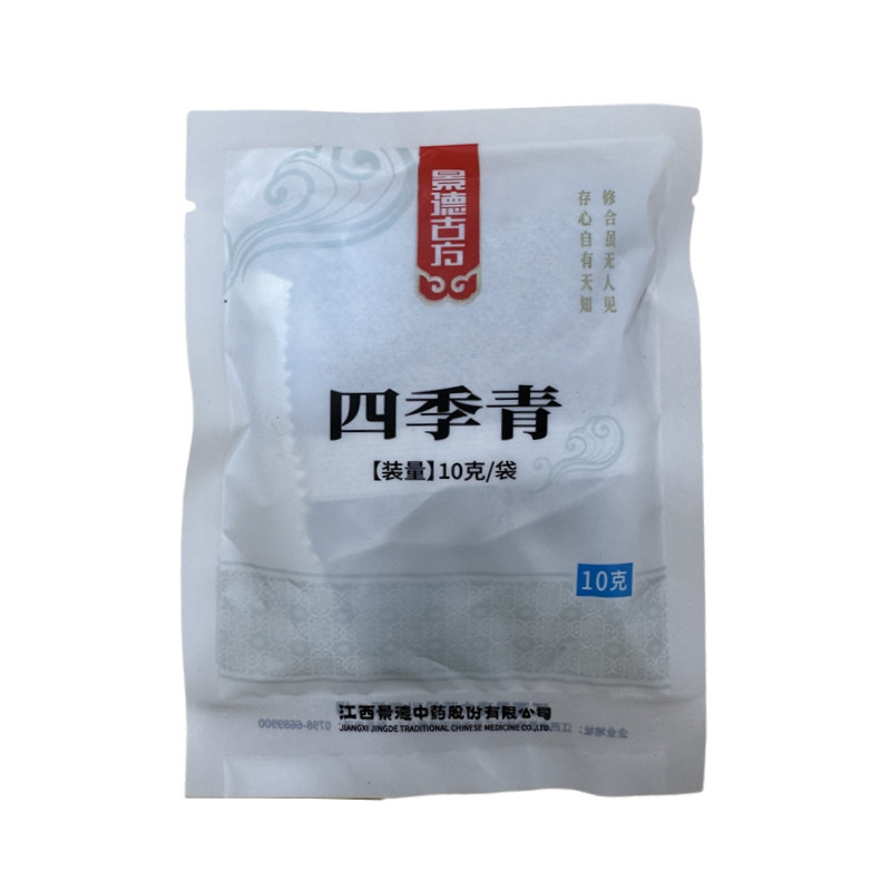 采芝林中药饮片四季青冬青叶