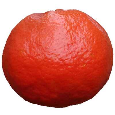 10斤内江川红橘大红袍陈老师推荐