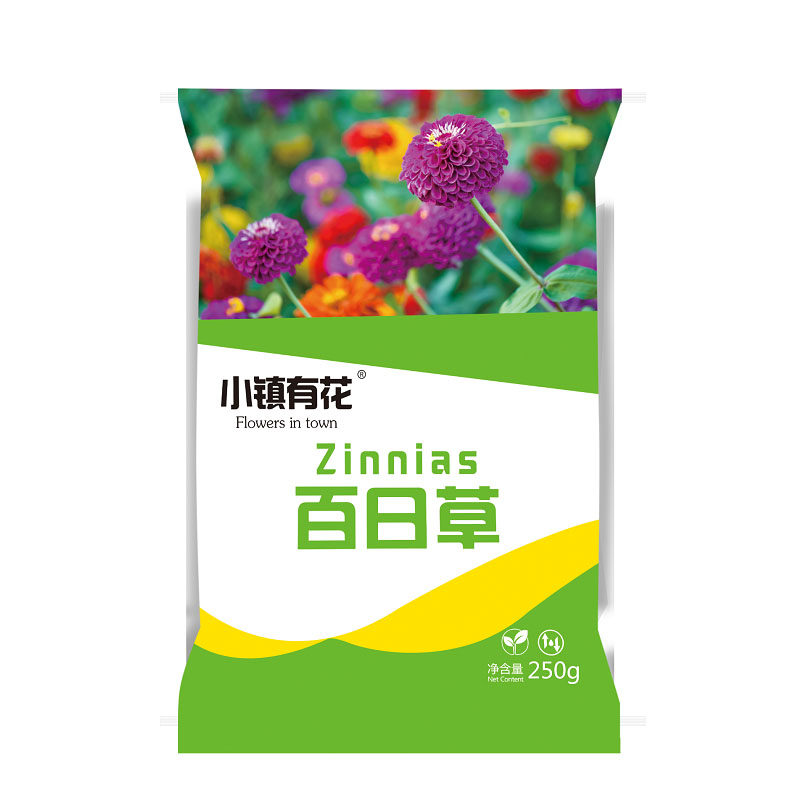 百日草种子混色步步高易活花籽庭院阳台盆栽植物花种籽
