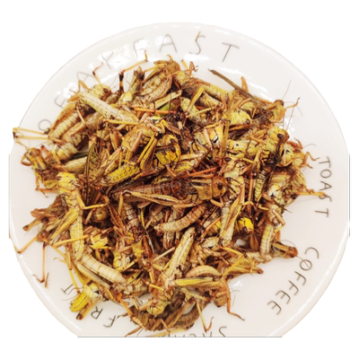 新鲜蚂蚱顺丰快递坏了包赔