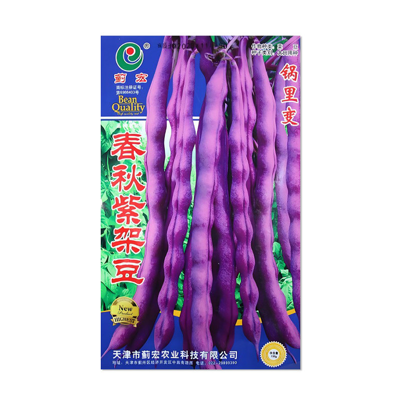 蓟宏春秋紫架豆种子蔬菜种子籽