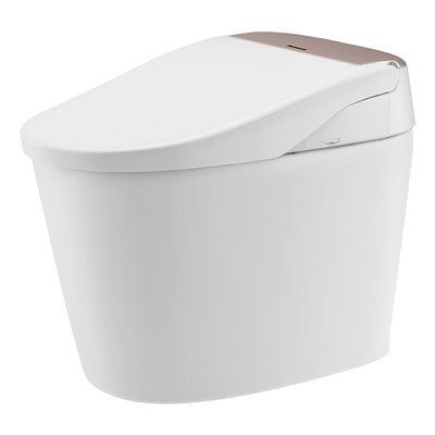 松下智能马桶自动除臭虹吸式