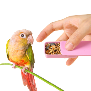 悦小萌鹦鹉训鸟食盒虎皮玄凤上手训练饲料喂食器八哥奖励互动道具
