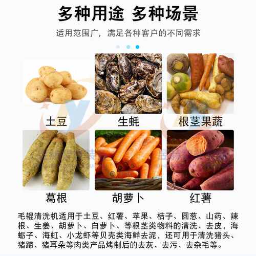 根茎果蔬毛辊清洗机 全自动土豆U型毛辊清洗机 牡蛎去泥清洗机
