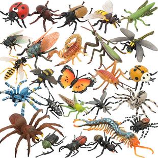 正版仿真昆虫模型玩具蜻蜓七星瓢虫蝴蝶蜘蛛蚂蚁蜜蜂螳螂儿童认知