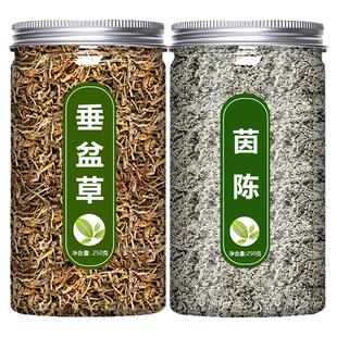 茵陈垂盆草的功效与作用泡水喝野生新鲜药用中药材正品官方旗舰店