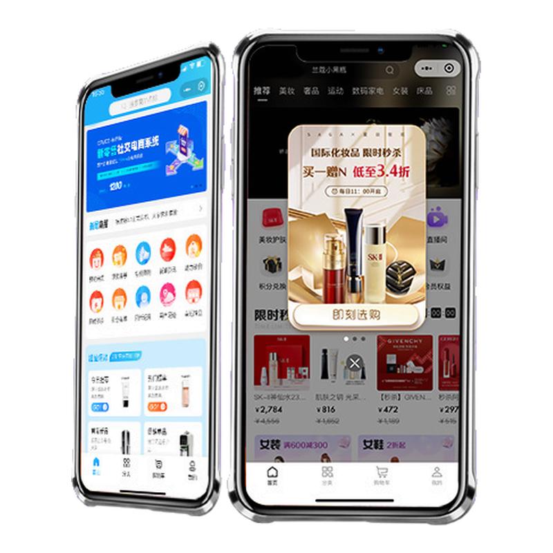 软件开发AI大模型AI客服链动2+1模式多商户商城海外商城APP小程序