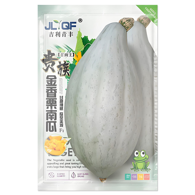 贵族金香栗南瓜种子肉厚银皮