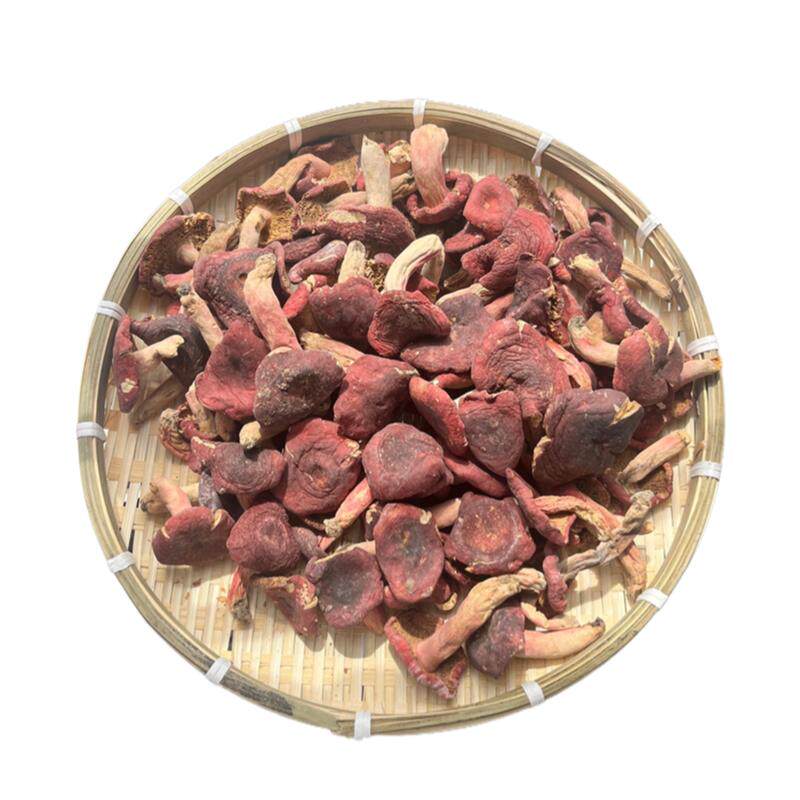 福建特产正宗野生红菇