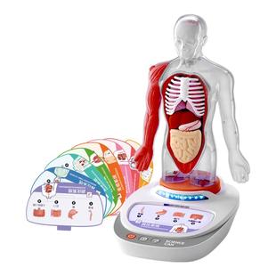 科学罐头人体解剖模型器官可拆卸儿童玩具身体语音百科生日礼物