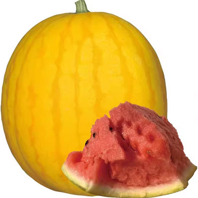 超甜黄皮红瓤西瓜种子种籽孑无籽
