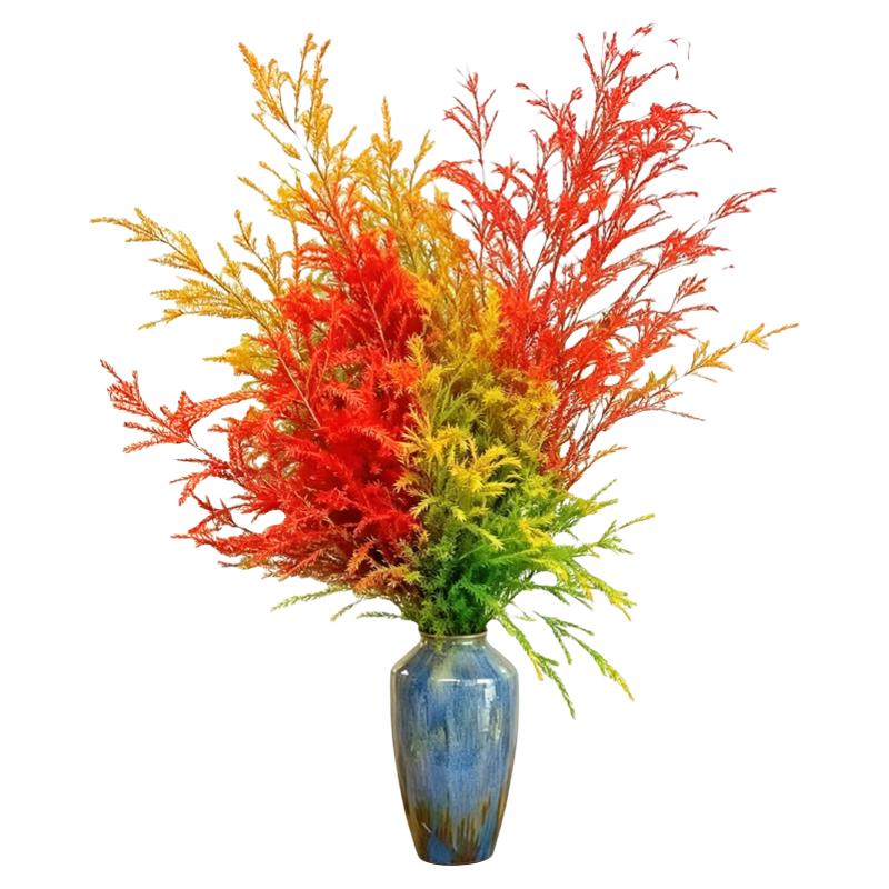 黄金香柳千层金鲜花水培植物