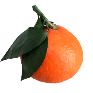 四川爱媛38果冻橙大果甜橙橙子新鲜水果红美人橘伯乐柑橘橘子礼盒