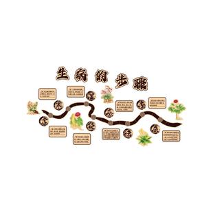生病的步骤环创中医馆氛围布置养生店墙面装饰贴诊室挂画文化艾灸