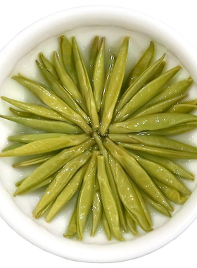 蓬江珠兰花仙山银针绿茶毛尖茶