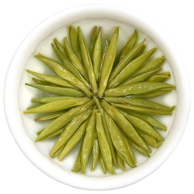 蓬江珠兰花仙山银针绿茶毛尖茶