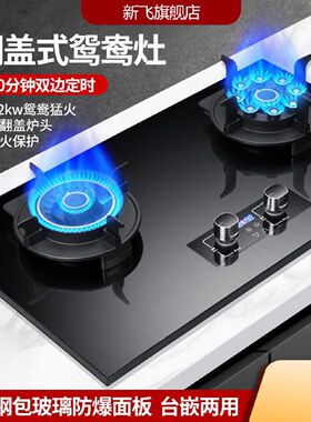 新飞新款燃气灶双灶家用天然气台嵌两用液化气翻盖猛火煤气灶新款