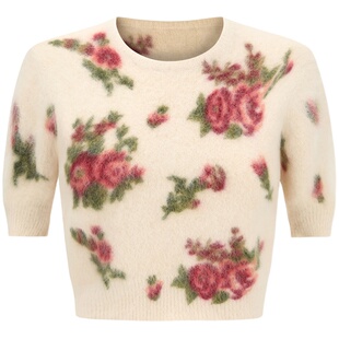 yeye by b.Fleurs  赵露思同款米色套头短袖针织衫短款内搭打底衫