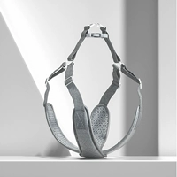 Aurora Silver [без тяги]