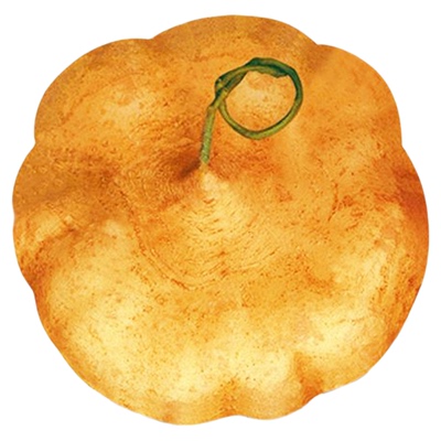 牧马山地瓜种子早熟水果地瓜